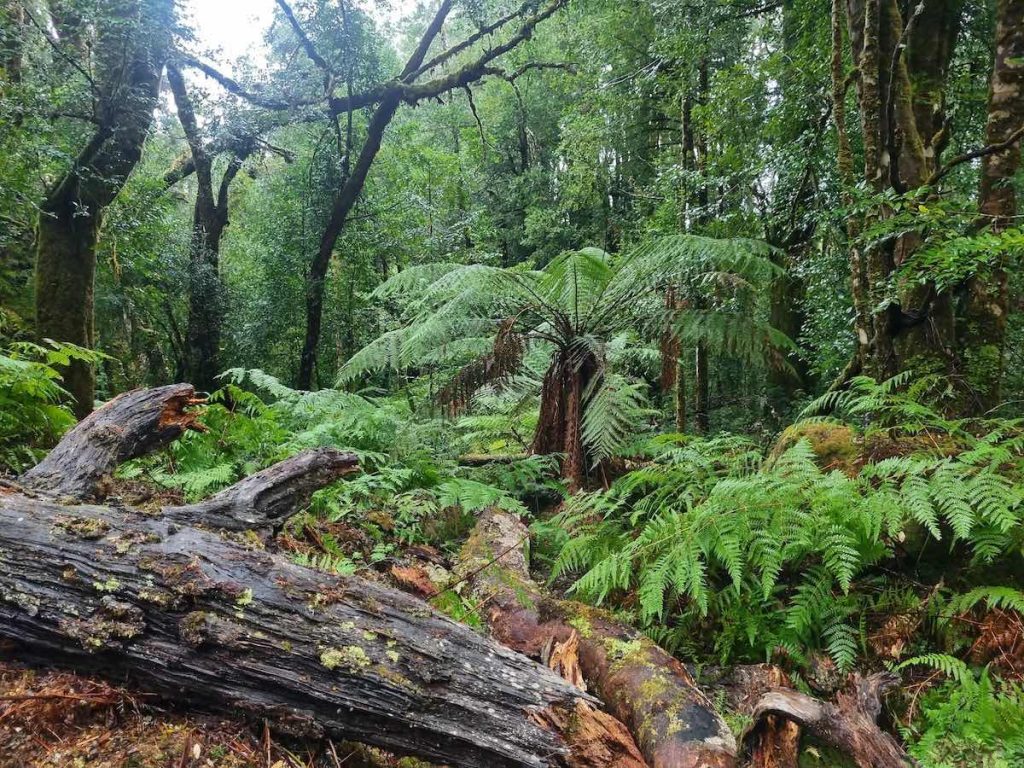 central highlands tasmania